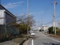 大阪湾岸エリアでは高潮と突風による被害が大きい