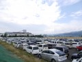 臨時駐車場の出品ヤードには３００台超の出品車