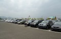 多数の出品車が並ぶ