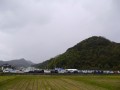 田園風景の中に溶け込むオークション会場