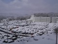 開催当日は記録的な積雪、セリスタート時間も１時間繰り下げた