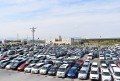3,000台を超える良質車が集まった