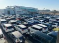 小売向け車をはじめ、多数の出品車で賑う