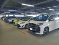 AAデビュー