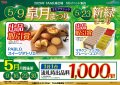 皐月まつり