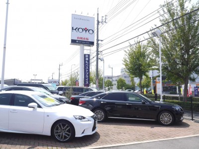 展示場には高付加価値車を中心に、良質車が並ぶ